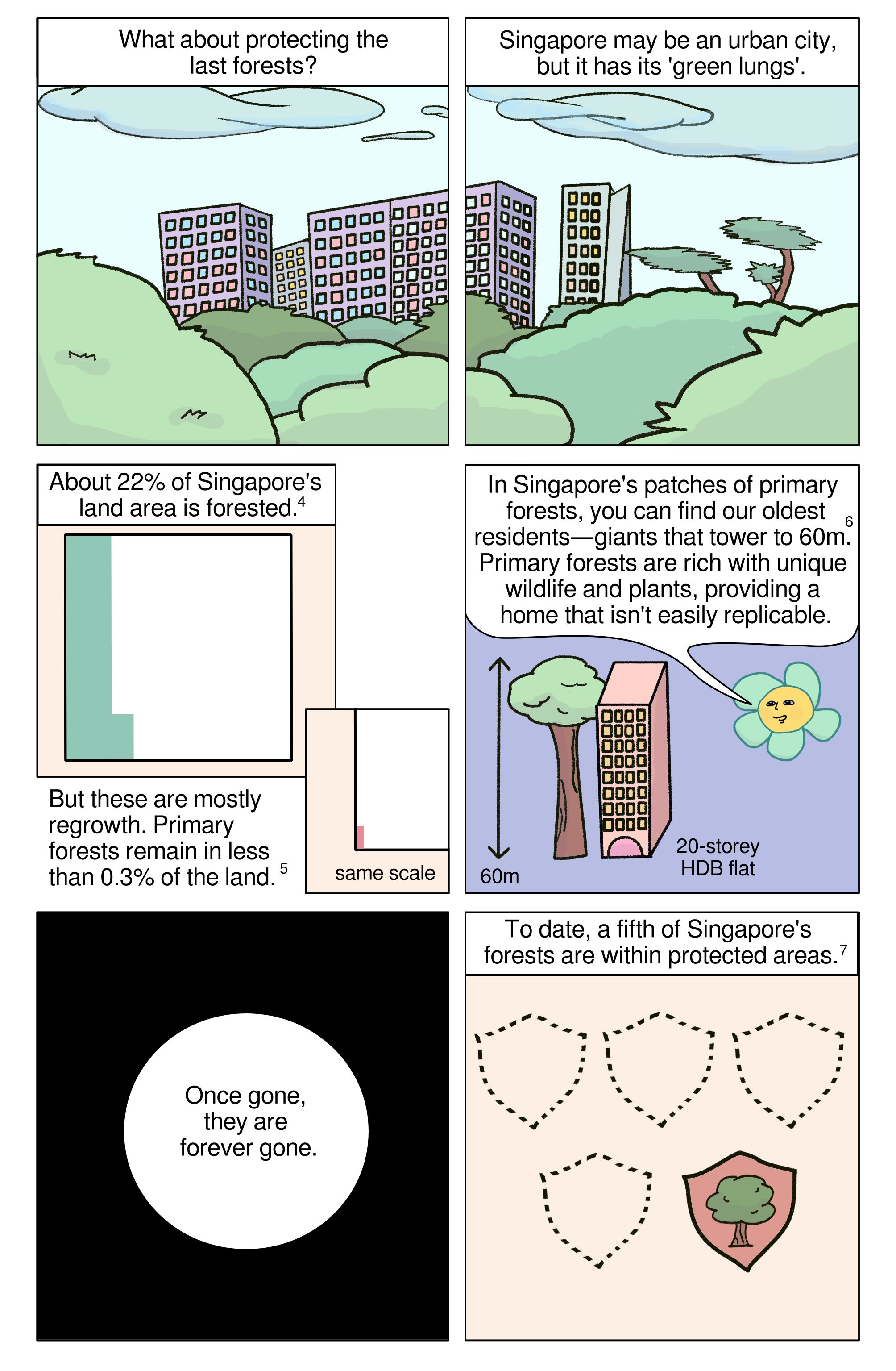 Chart showing forest cover of Singapore